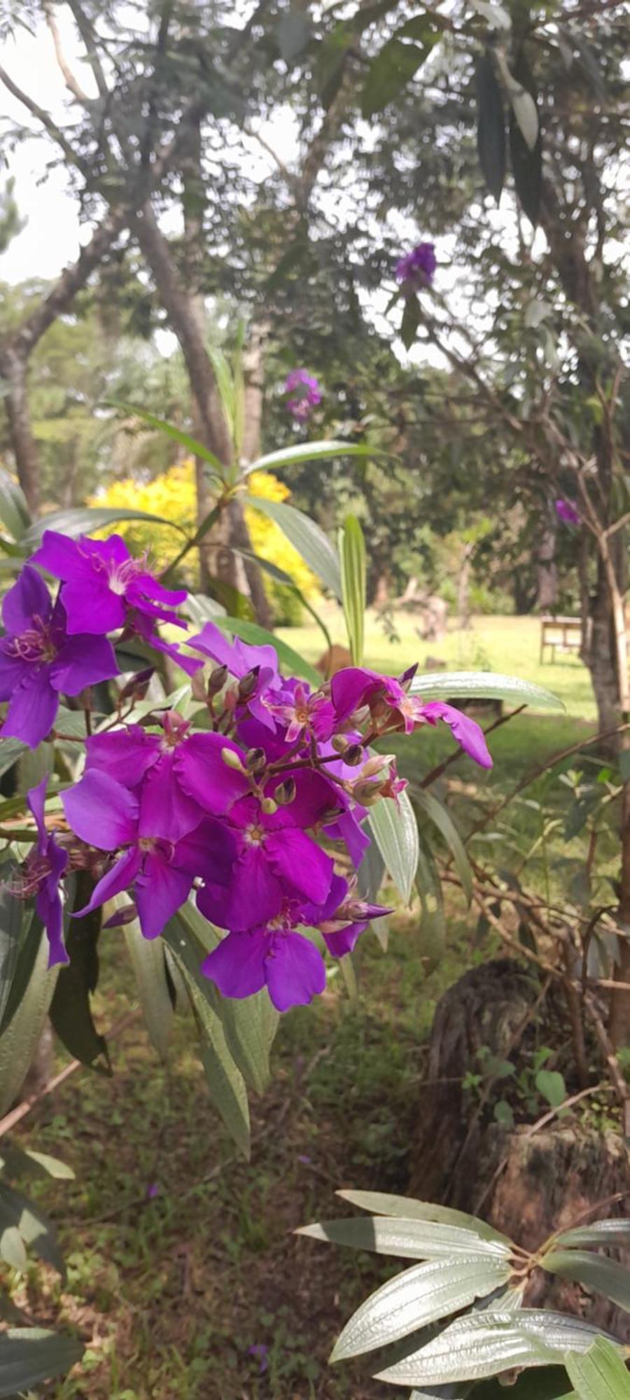 Sitio Gacied Villa ซูซาโน ภายนอก รูปภาพ
